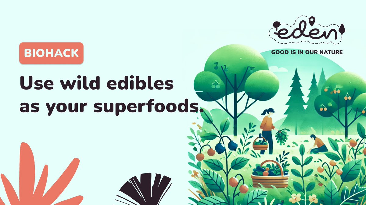 Skip the store’s plastic junk, choose wild food: fruits, herbs, mushrooms. 

Pure, free goodness without plastic, labels, or chemicals. A return to the source, to food that truly nourishes instead of trash pretending to be food.

🎉Join the Eden app and our community.
 $EDN