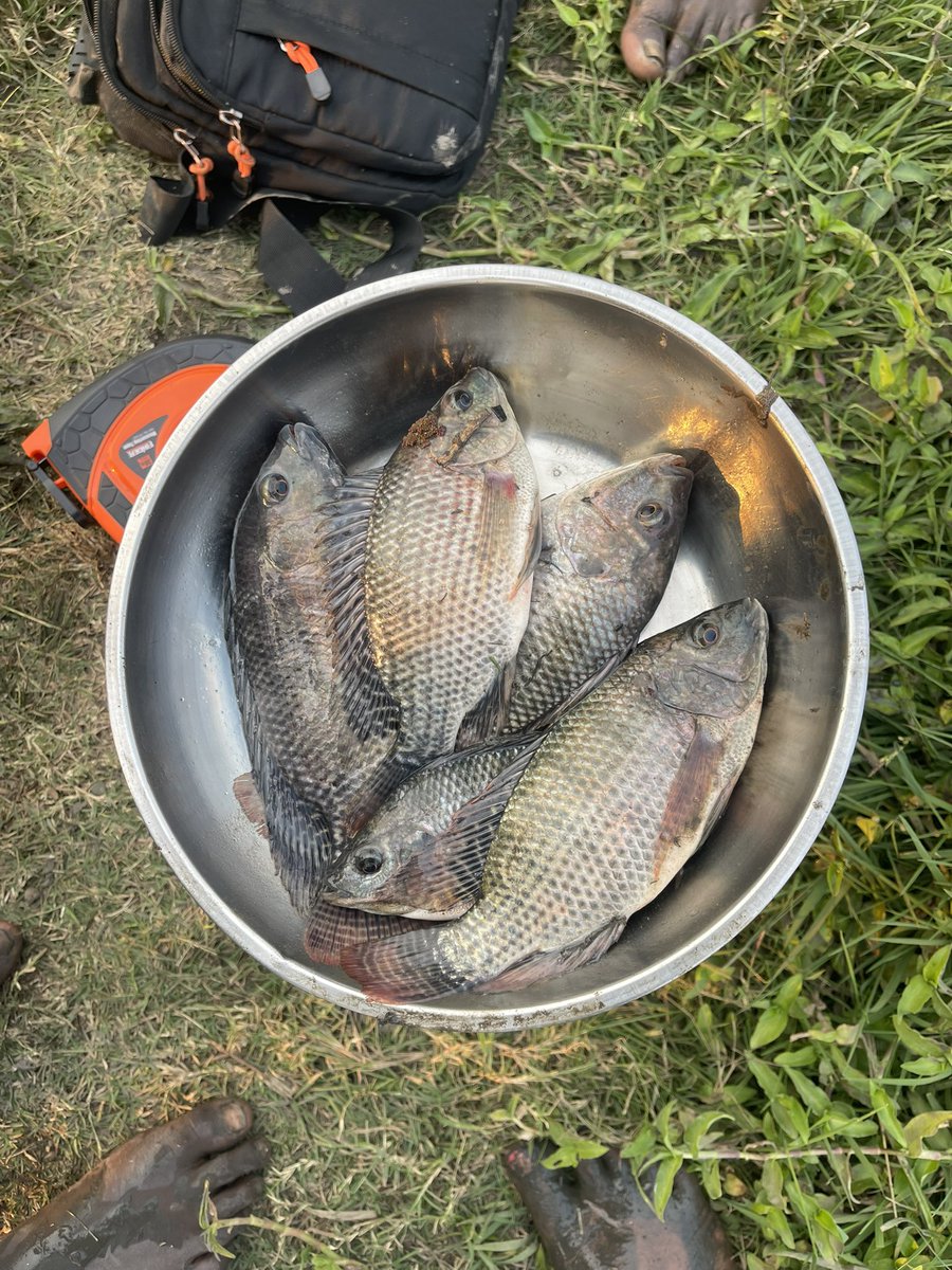 Uncle Clement 👳🏾‍♂️ tweet media