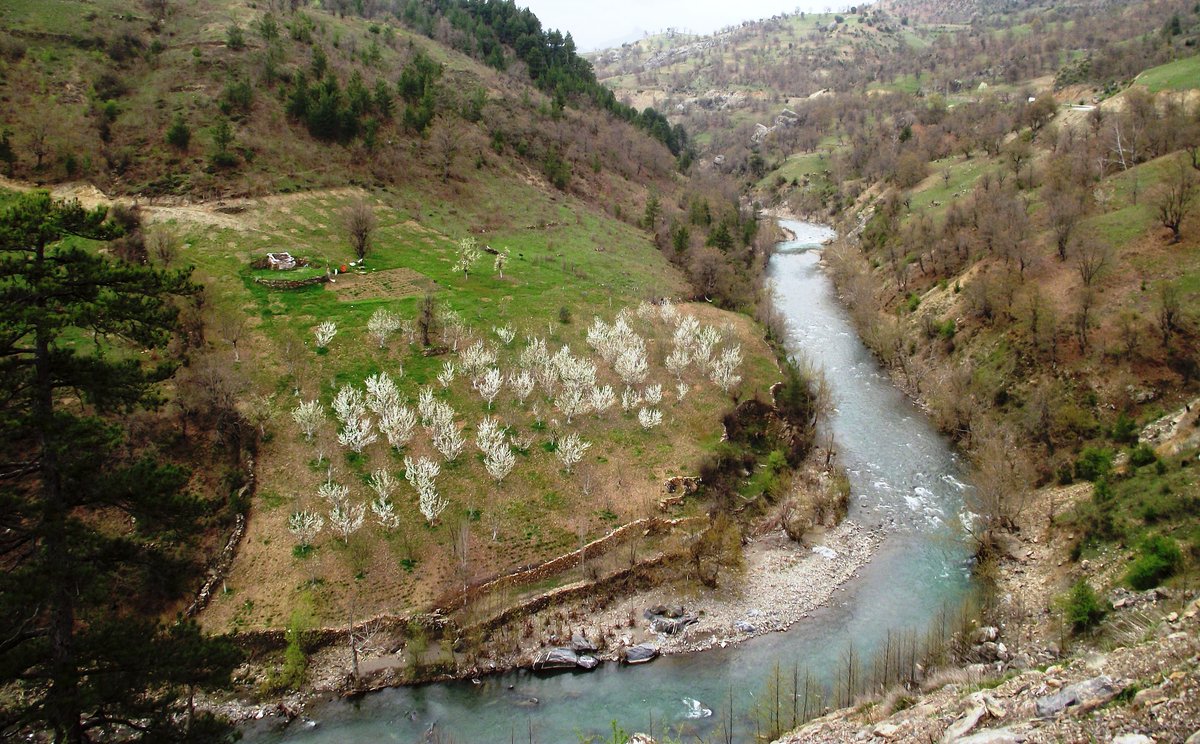 Türkiye içilebilir kalitedeki su kaynaklarını 20 yıl içinde yok etti. Burası Isparta'daki Ayvalı Çayı. Köprüçay'ın ana kaynaklarından biri. Fotoğrafı, Nisan 2010'da çekmiştim. O dönem kaynaklarda "1. kalite içme suyu" olarak anılan çatın üzerinde 2012'de bir HES başladı.⬇️
