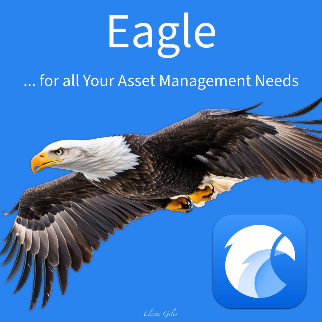 Eagle keeps creative assets under control ...

• Tag &amp; organize files 🏷️
• Smart folders 📂
• Visual previews 👀
• Cross-platform sync 💻

Work faster, stay inspired.

🔗 eagle.cool

#macapps #macOS #mac #apple #Windows #apps