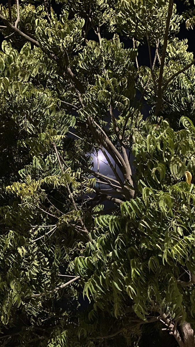 •لا تجعل قلبك معلّقًا بشيء يفنى، بل علّقه بمن لا يزول❣️