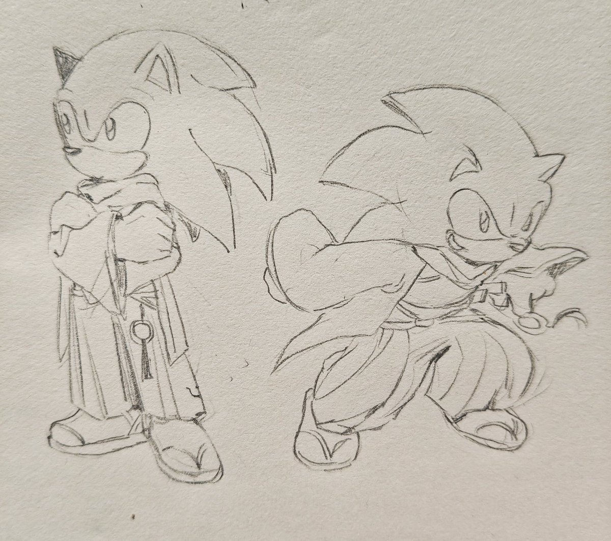 xxlokshing's tweet photo. ok I think it's cute to show his ears.#SonicRumble #SonicTheHedgehog #ShadowTheHedgehog https://t.co/4go5ER7IkV