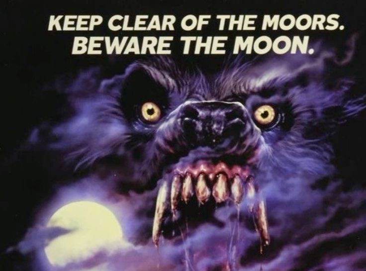 TheWolfmanDB's tweet photo. Silly advice. Perfectly safe. https://t.co/ynWZSd1W4u