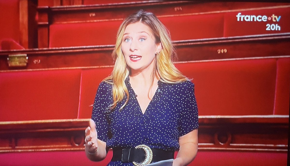 ldupin's tweet image. Mignon. « Partir d’une coquille blanche… » évoque @dorothee_lachau au JT de F2, sur le prochain gvt #Lecornu. Ou… « d’une page vide » ? 😉 #dansedesmots #mediabug