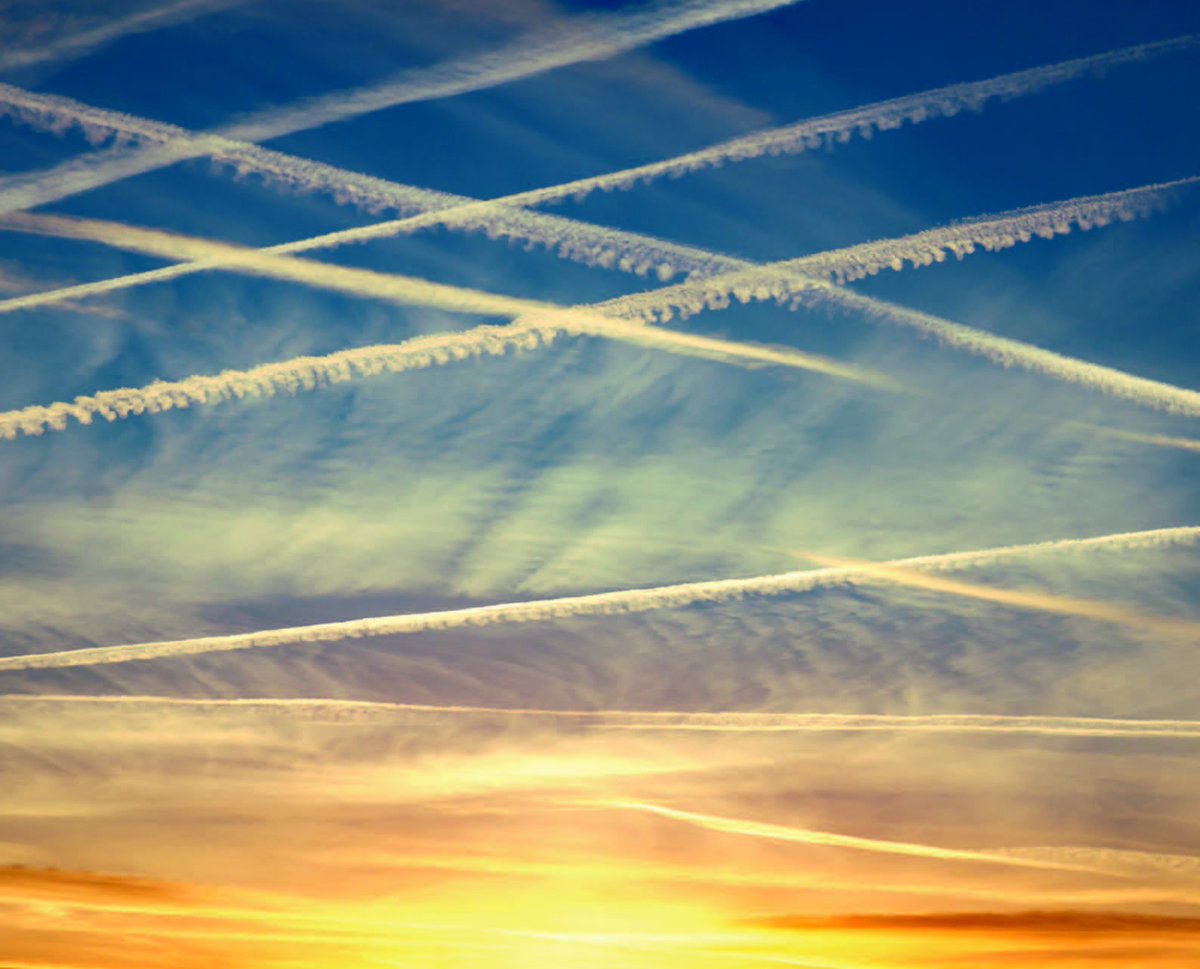 DaysOfNoahh's tweet image. With all the daily #psyops going on, it&apos;s easy to forget &quot;#RazorBladeCovid&quot; is coming this winter, be very afraid 😂.

This scariant is also aptly called #Nimbus, meaning #cloud... They try to tell us something? #Toxins in #chemtrails will cause the new #convid? You don&apos;t say.