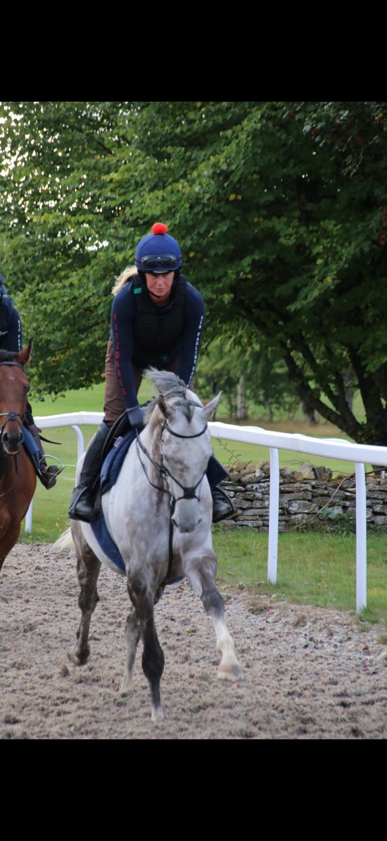 camilla sharples tweet media