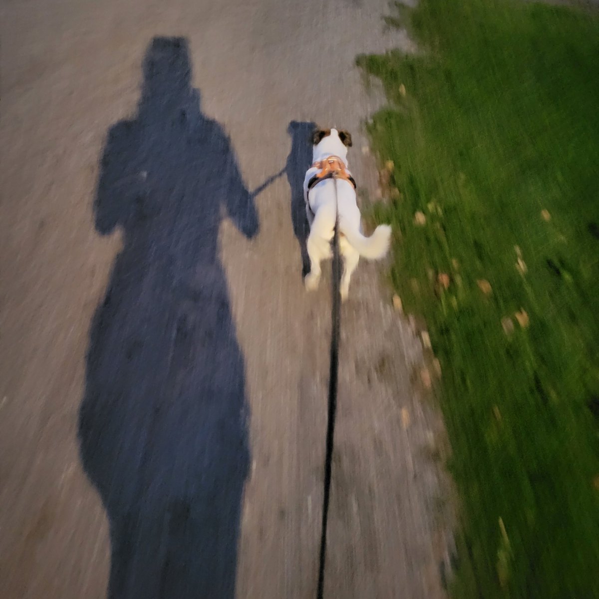 Shinyred40 TL80 2.2B XP 🇫🇮🔜🇩🇰 tweet media