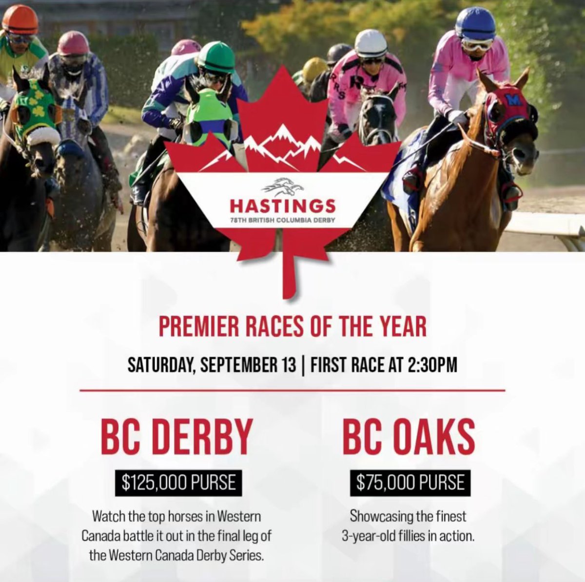 BIG DAY this Saturday, Sept 13 at <a href="/hastingsraces/">Hastings Racecourse</a> a 12 race card featuring the BC Derby ($125K) &amp; BC Oaks ($75K). The best 3-year-olds in Western Canada chase $200K!

👏 Big thanks to the workers on the backside who make a 12 race day possible. 

#BCDerby #BCOaks #HastingsRaces