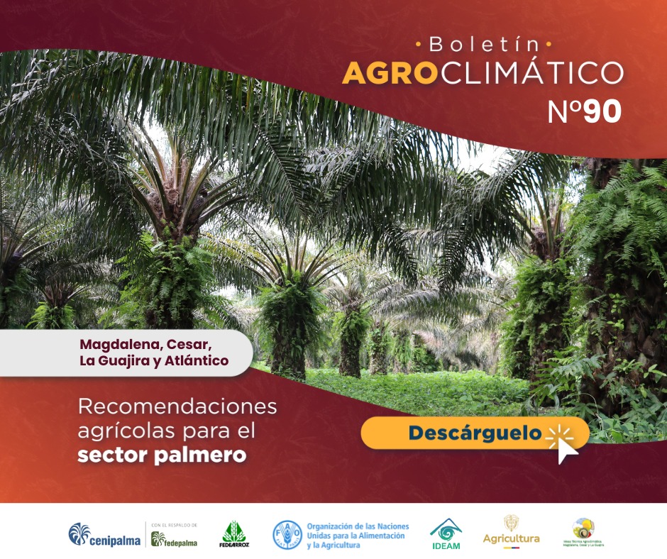 📊 Ya se encuentra disponible el Boletín Agroclimático Magdalena, Cesar, La Guajira y Atlántico. No° 90.

Septiembre es el mes de transición hacia la segunda temporada de lluvias. Se espera que en el Caribe colombiano se mantengan las lluvias por la influencia del tránsito de
