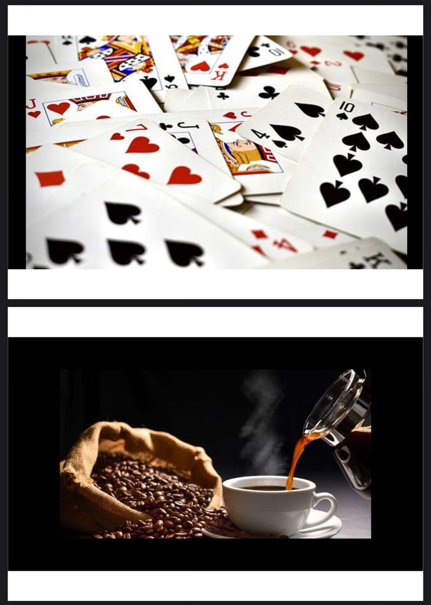 pinguibella's tweet image. vou estudar ecologia pelos slides ai os slides tao assim: