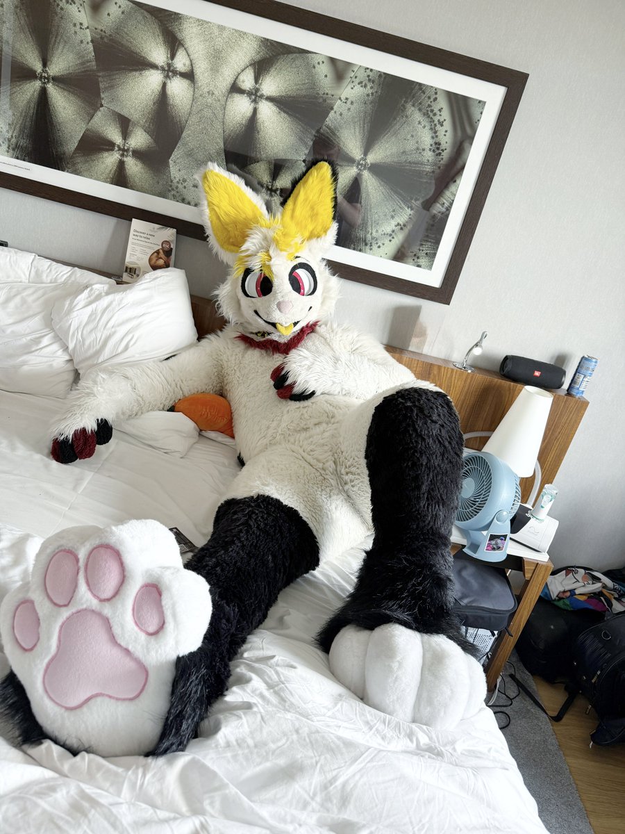 Fons 🐰🎸 🥕🔜 Ibercon tweet media