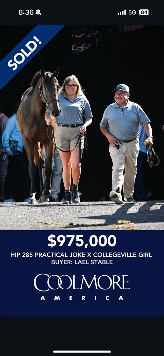 Happy faces all around <a href="/keenelandsales/">Keeneland Sales</a> yesterday 😊 We were privileged to raise and offer this fantastic Practical Joke filly out of Collegeville Girl for breeders Jim Wasserson and Bob Brittingham. Thanks to all involved and best of luck on the track.