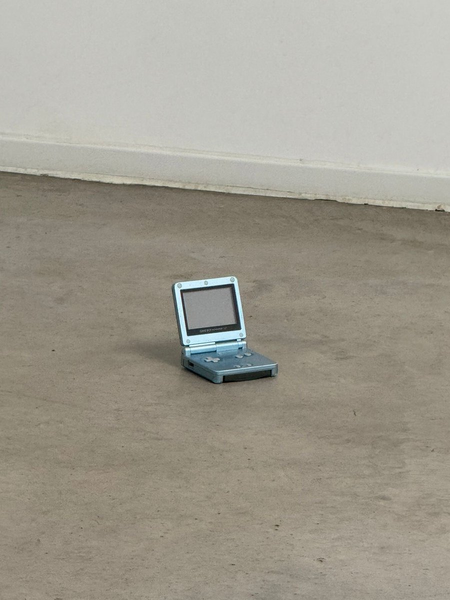 eunate 🕊️ tweet media