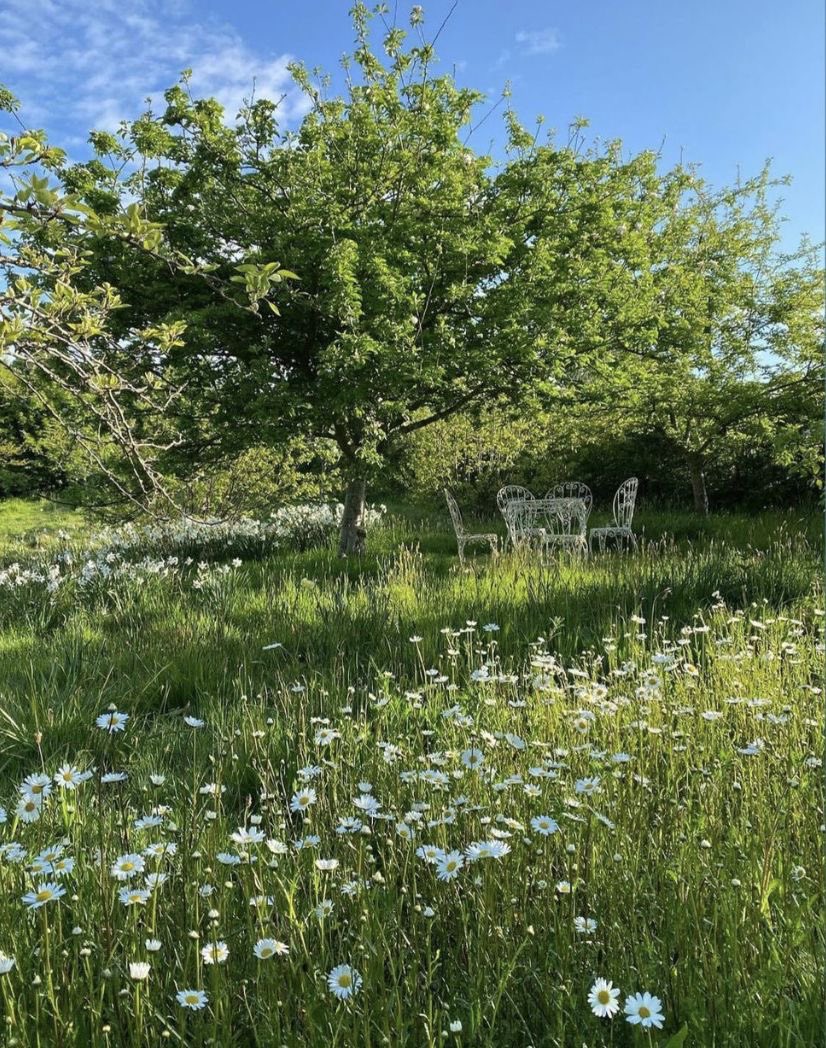 greendreamvibes's tweet image. Serene