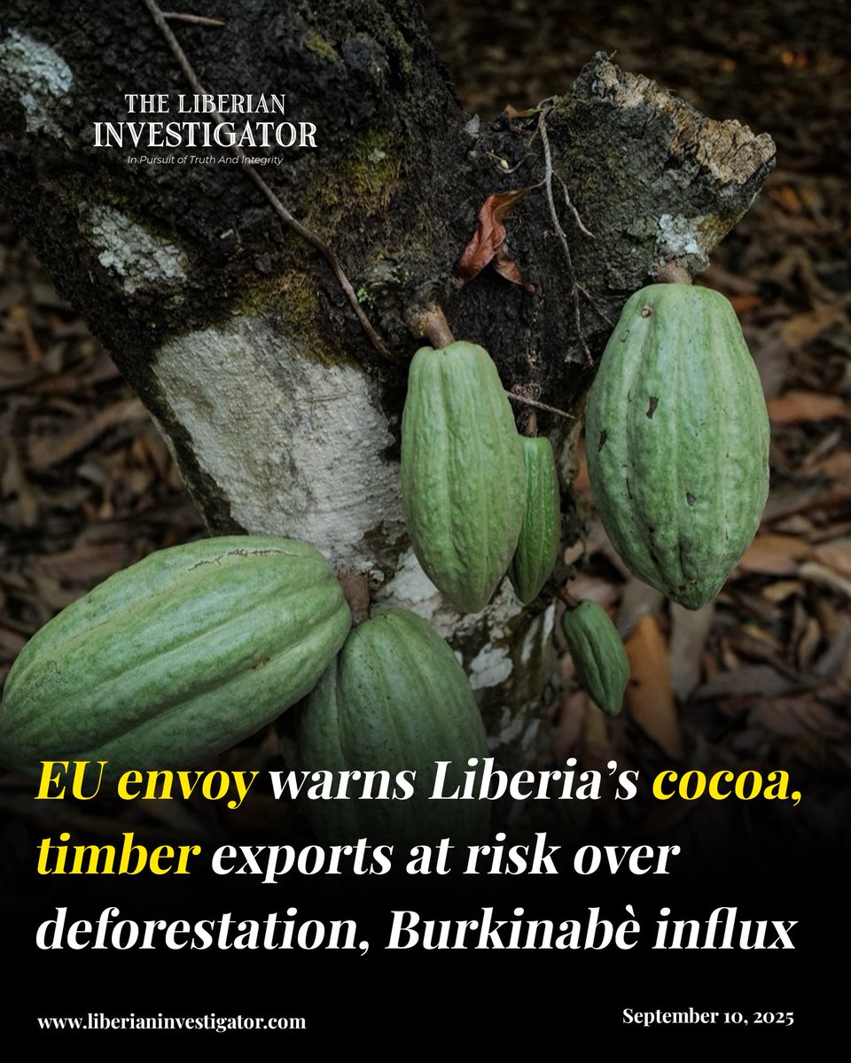 EU warns Liberia’s cocoa &amp; timber exports face risks under new deforestation rules. Envoy Nona Deprez cites Burkinabè-driven tree-felling, urging Liberia to protect forests or lose market credibility. #Liberia #EU #Trade

Full story 👇👇

liberianinvestigator.com/news/eu-warns-…