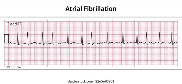 احمد tweet media