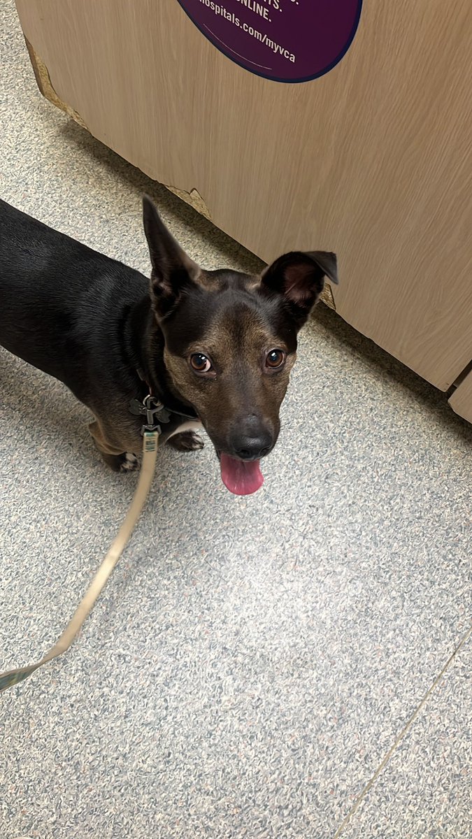 Billyboy56 tweet media