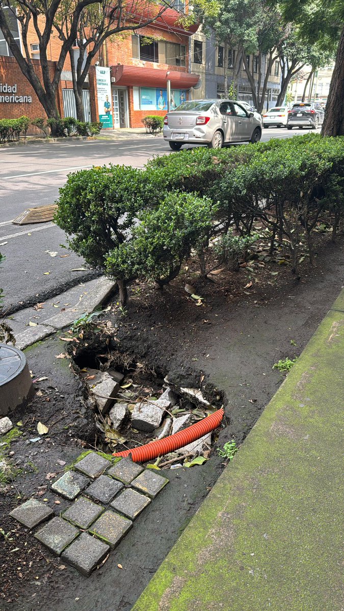 Vamos para un mes...

<a href="/AlcaldiaBJ/">AlcaldiaBJ</a> <a href="/LuisMendozaBJ/">Luis Mendoza Acevedo</a> favor de atender esa banqueta "que si les toca".

Va para un mes y el hoyo sigue creciendo. Hay riesgo con los alumnos de la primaria de al lado. 

Ccp <a href="/HugoTorresCDMX/">Hugo Torres Zumaya</a> <a href="/AlfonsoFDyE/">Alfonso Flores Durón y Enciso</a> <a href="/sof_velez_r/">Sof Vélez</a> <a href="/En_Narvarte2/">Narvarte Vecinas y Vecinos</a> <a href="/ccnarvarteuno13/">Colonia Narvarte</a>