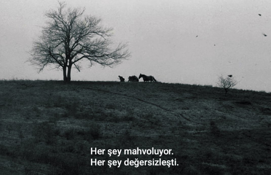 Zerkalo🌕 (@hicizmm) on Twitter photo 