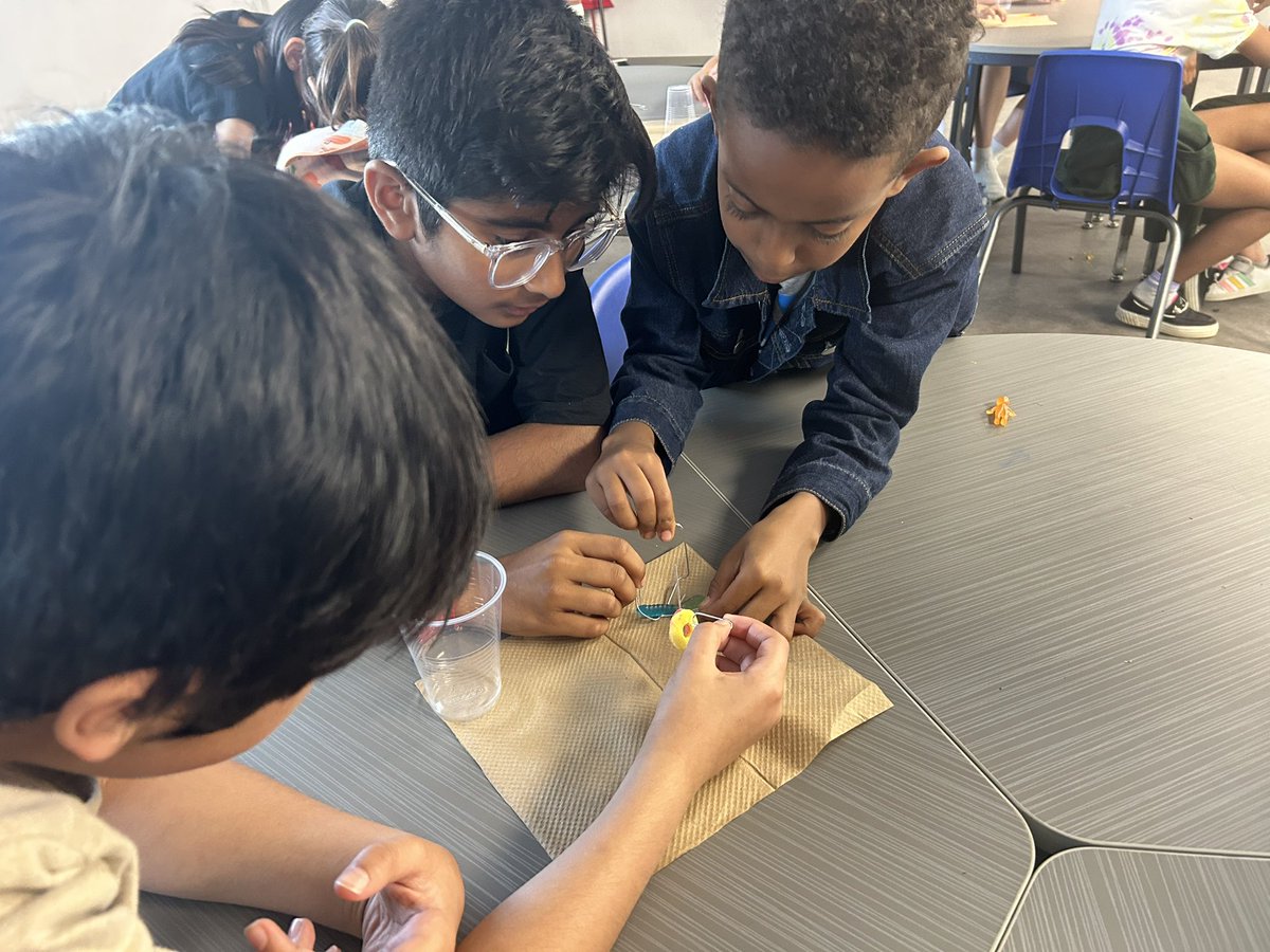 Sarah Feraco tweet media