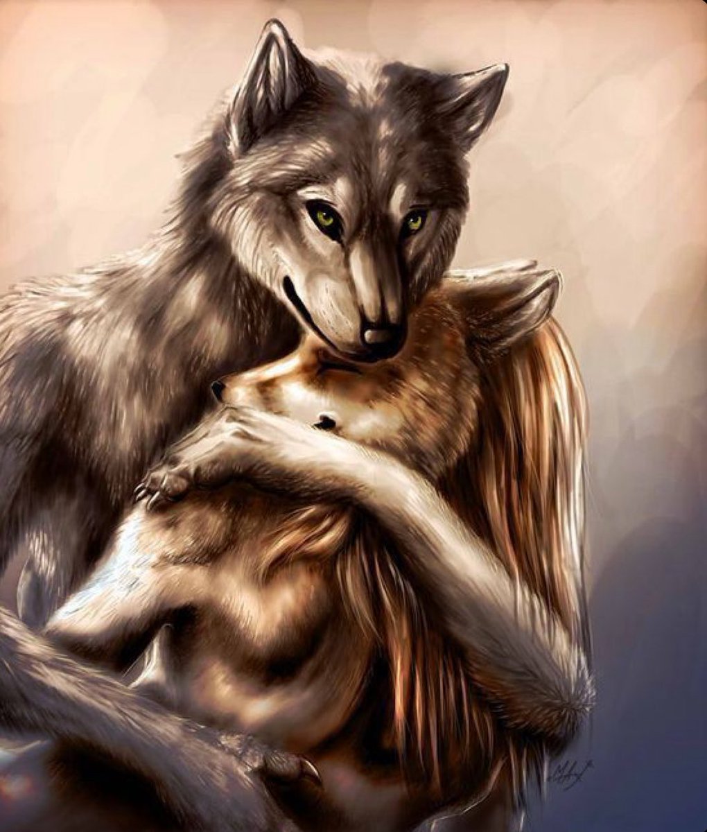 GamingFunny tweet media