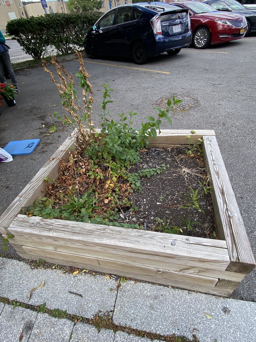 DowntownROCs's tweet photo. "Beauty in every space". That's part of our motto. This planter had so much potential, so we just had to spiff it up in time for the @RochesterFringe Festival. After all, you can literally see it from The Spiegeltent! #beforeandafter #placemaking https://t.co/xDZIum3RQy