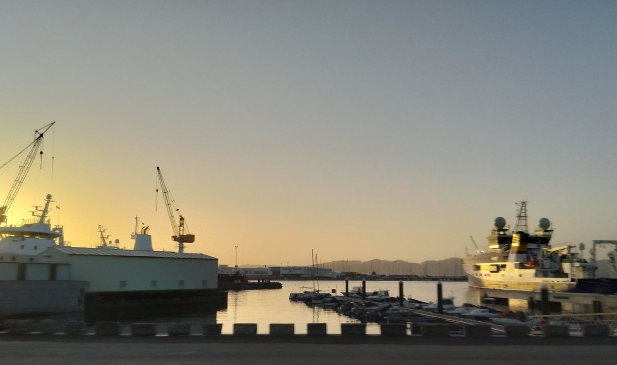 Eu son de alí
Teño unha onda que raptaron as gaivotas, unha paisaxe favorita, unha herba silvestre,
unha lúa nos confíns da palabra, a subsistencia dos paxaros e un oliveiral inmortal.
Mahmud Darwish