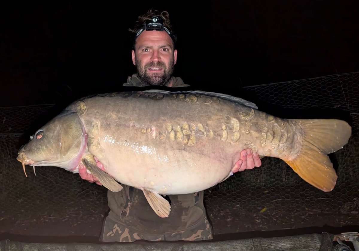 Bayeswater fisheries tweet media
