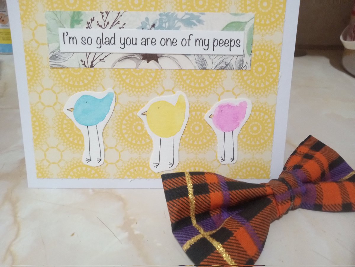 The Weekly Beagle (@weeklybeagle) on Twitter photo We's gots happy mail frum <a href="/wonderbeagmurph/">wonderbeaglemurphy</a>! Youse guys really know how ya brighten up a day! Beagle Daddy tried ta claim da bowtie but I's makin' hims give it's ta Ranger. Nobuddy could see it's under Beagle Daddy's beard anyways. We's gots happy mail frum <a href="/wonderbeagmurph/">wonderbeaglemurphy</a>! Youse guys really know how ya brighten up a day! Beagle Daddy tried ta claim da bowtie but I's makin' hims give it's ta Ranger. Nobuddy could see it's under Beagle Daddy's beard anyways.