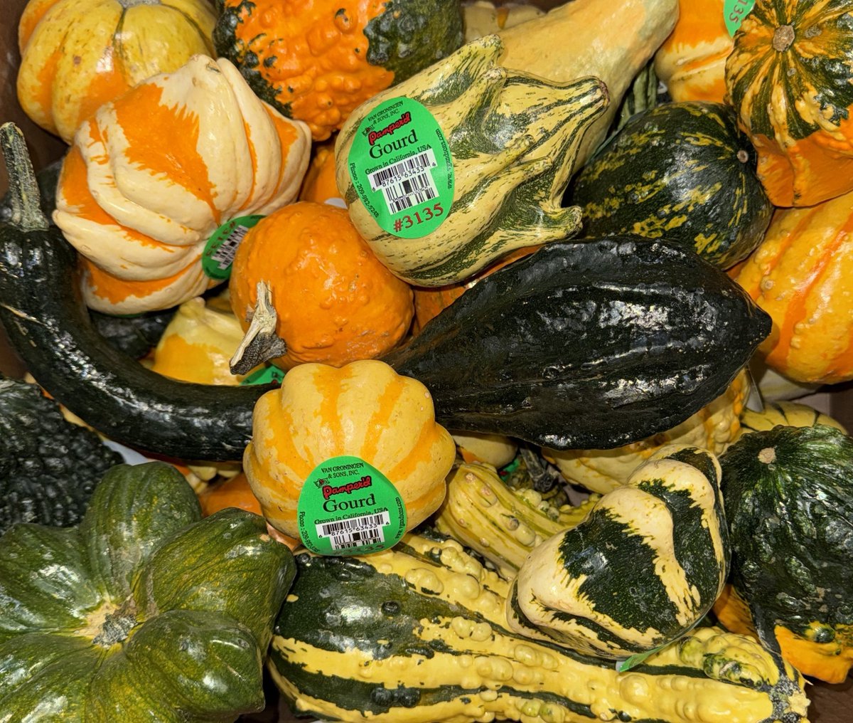 FreshForwardYEG's tweet photo. 🎃Pumpkins have arrived and they're looking gourd-geous!🎃
We’re stocked for the season with a wide variety of fresh, high-quality pumpkins from classic carvers to decorative gourds and baking favorites. Perfect for retail displays, seasonal promotions, and autumn menus! https://t.co/BdpohhAYED