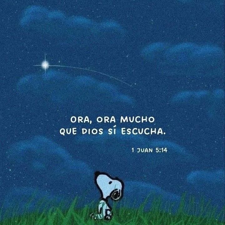 ipau_coco's tweet photo. https://t.co/DcLiBt2HEW