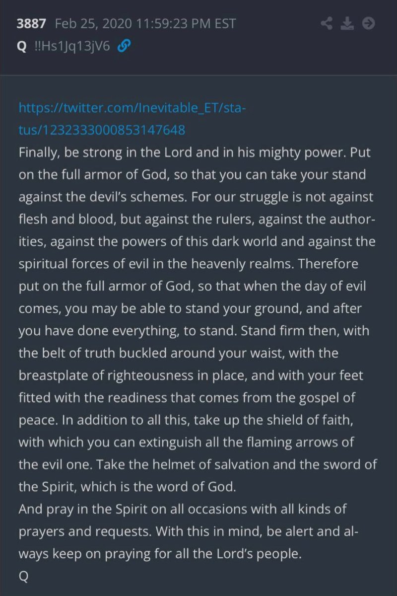 ShteinMichael's tweet image. Full armor of God.