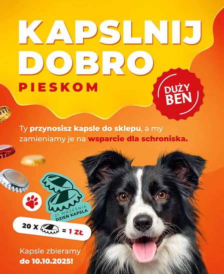 KB Poland 🇵🇱 (@KB_Poland) / Posts / X