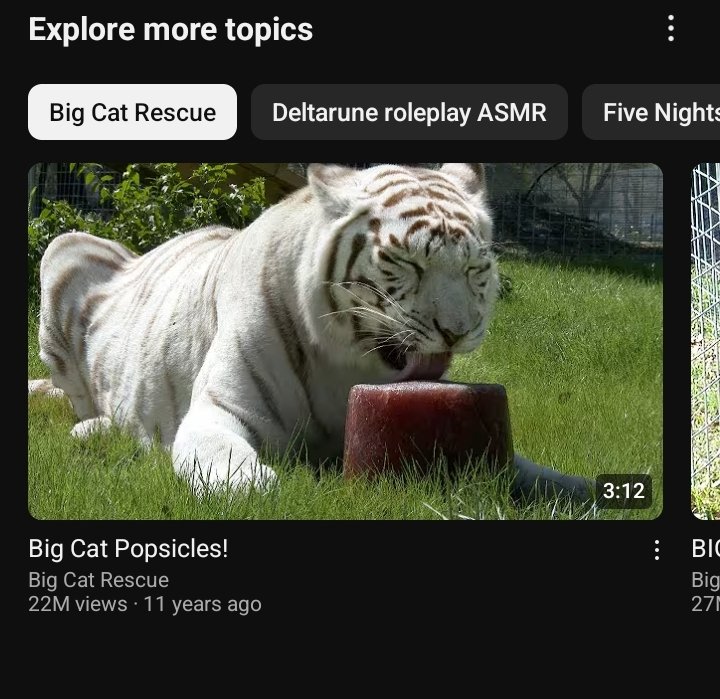 OrdinaryManner's tweet image. 