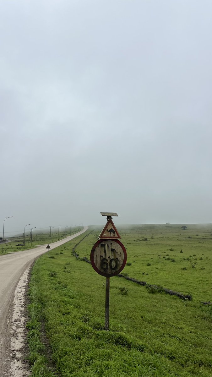 الجو 🤩🌴🌴.