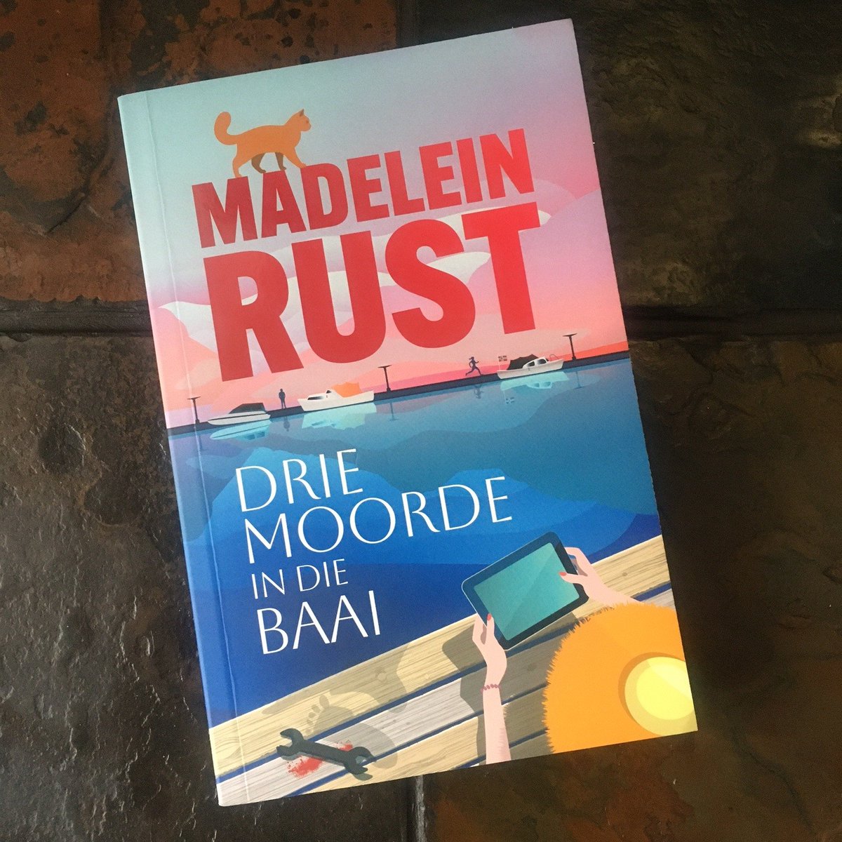 Drie moorde en baie verdagtes, heerlike cozy mystery deur bobaas skrywer, Madelein Rust. @NBPublishers <a href="/LynneSchoeman/">Lynné Schoeman</a>