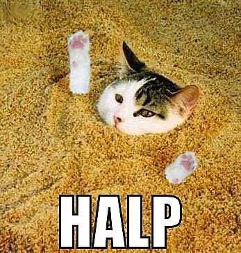 <a href="/0xSweep/">Sweep</a> $HALP is like that one golden opportunity your future self will wish you grabbed.
 
Don’t miss this presale!

app.hel.io/pay/68b5488bc0…

<a href="/HALPhodl/">$HALP</a>