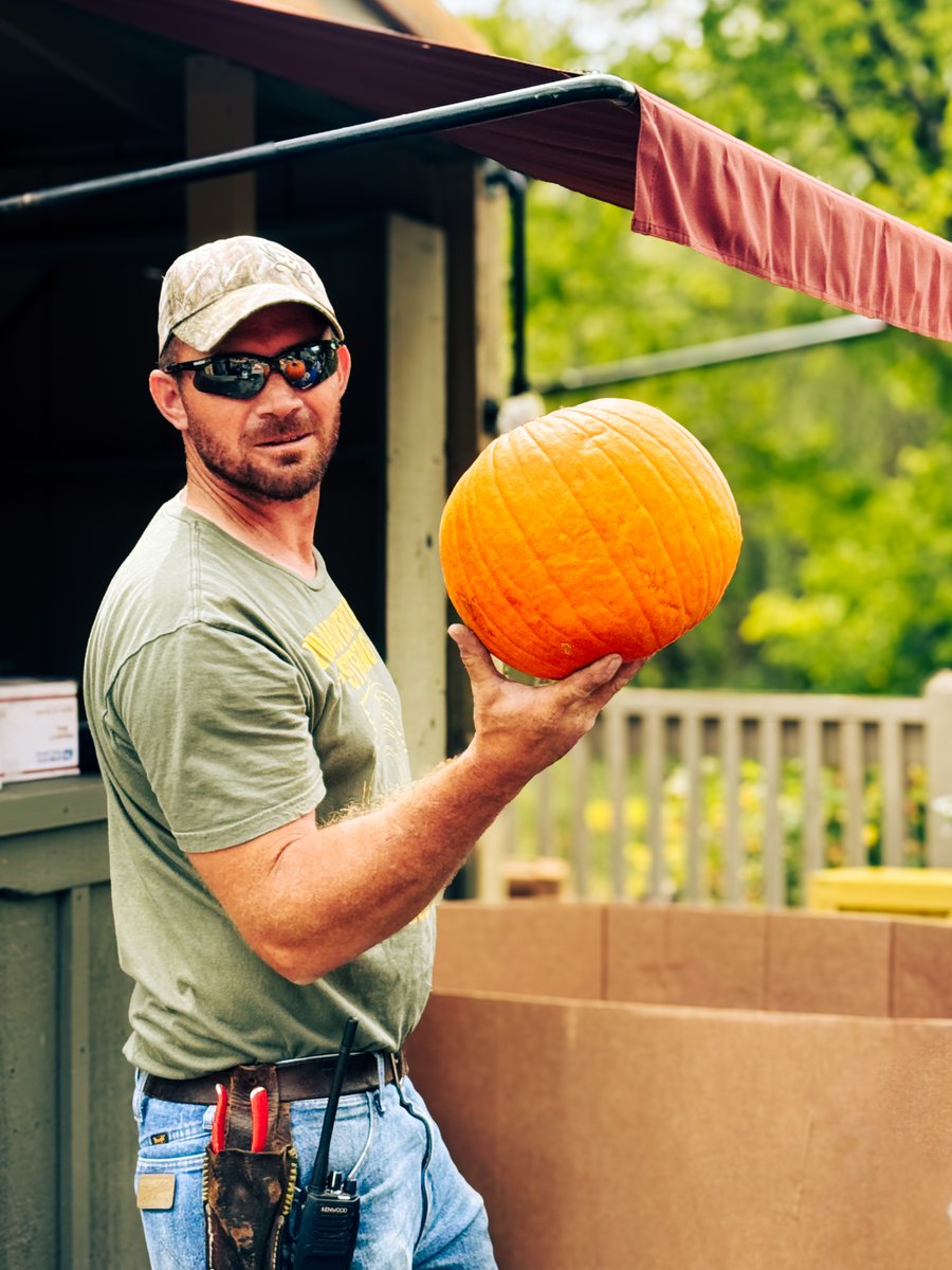 SDCAttractions's tweet image. CORRECTION: Earlier we shared that there would be 20,241 real pumpkins at Silver Dollar City during the Harvest Festival. Jonny Eakin discovered an extra pumpkin bringing the real total to 20,424. 

Please accept our apologies in this error, we can and will do better next time.