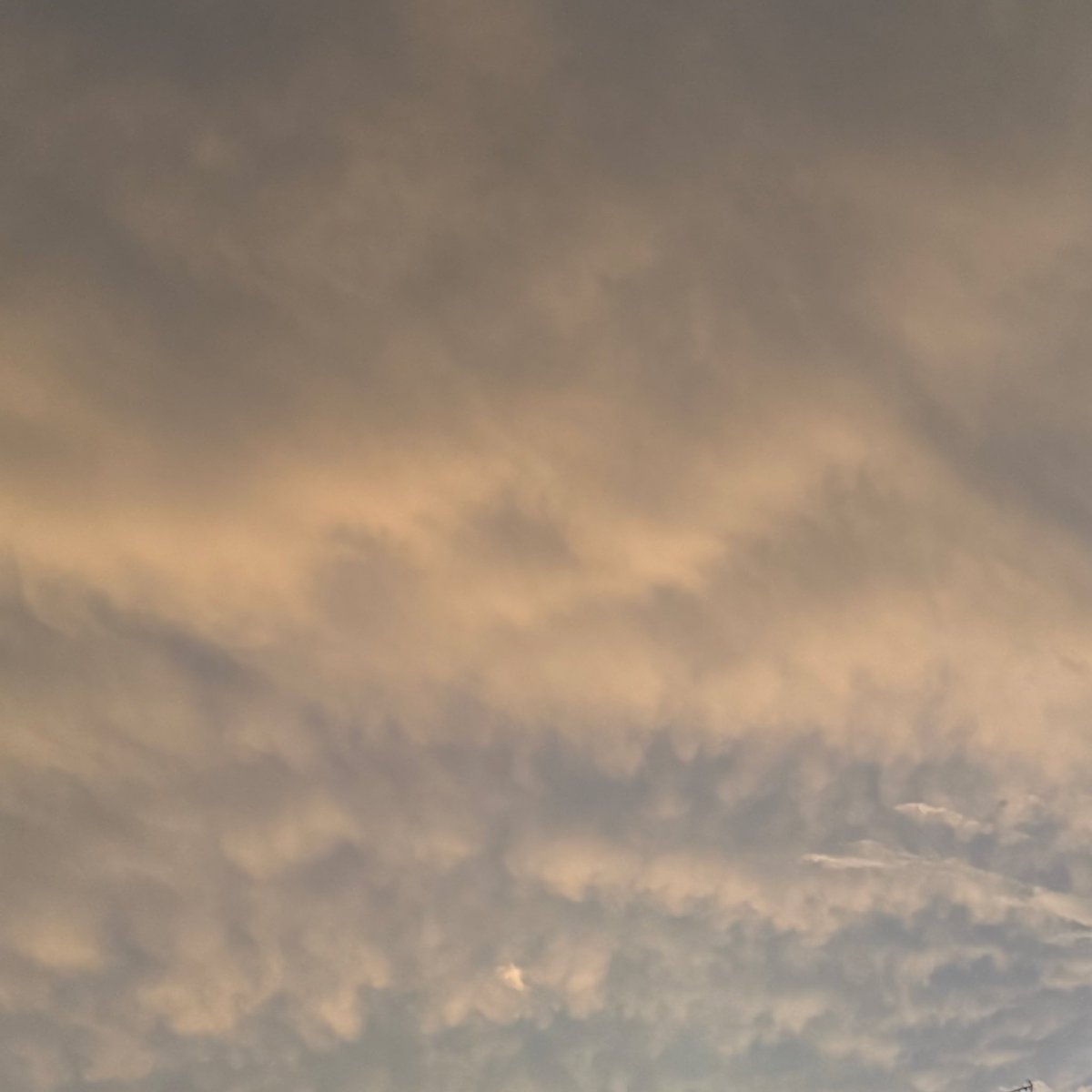 chaosgroove (@chaosgroove) on Twitter photo 