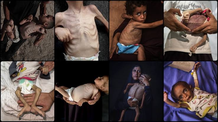 <a href="/kirawontmiss/">kira 👾</a> I’m sorry for all the innocent lives. But what about you?