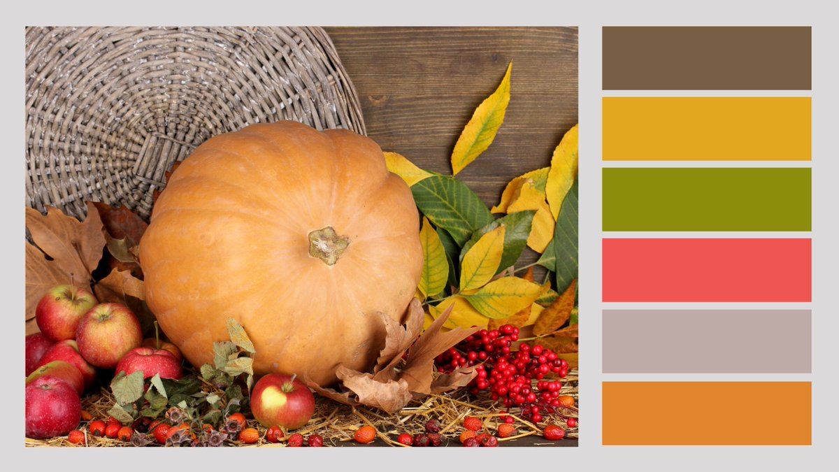 Truthful_Nomad's tweet image. 🍁 Discover 10 stunning fall home decor color schemes and florals to refresh your space this season. #FallHomeDecor
thescribblinghomemaker.com/?p=5623
