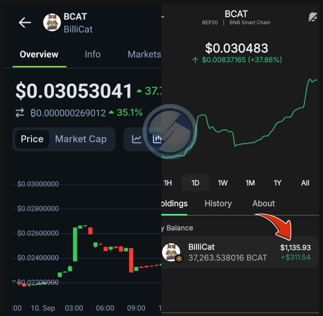 Szymansk_ii's tweet image. Whenever I go into a project, I don&apos;t just call a good token without investing in it, I&apos;m not doing this to motivate anyone, I&apos;m simply doing this because i know what is coming. 

With just 100M max supply &amp;amp; just 50M in circulation for an Exchange Meme token, BCAT will make $ 1…