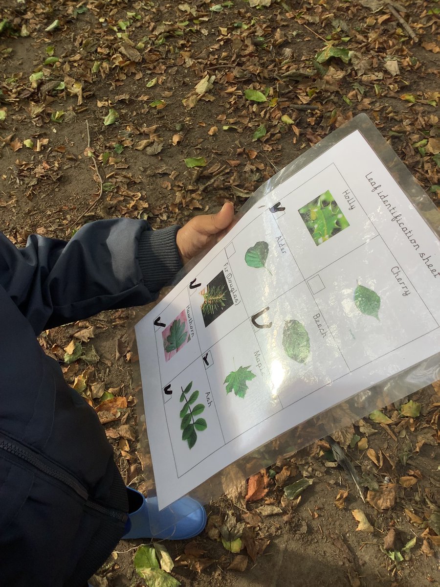 Year 1 tweet media