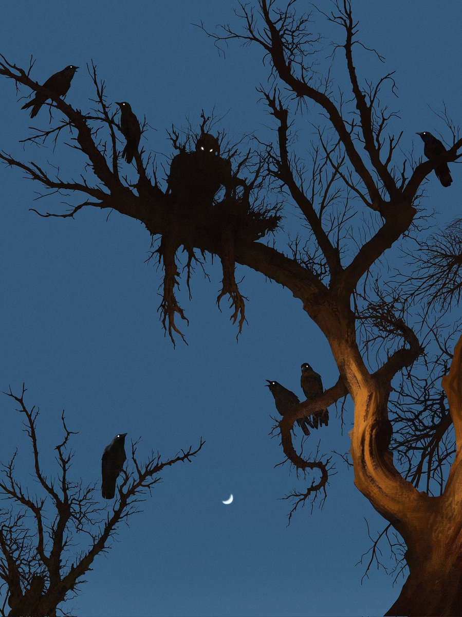 Insomnia by Vincenzo Lamolinara