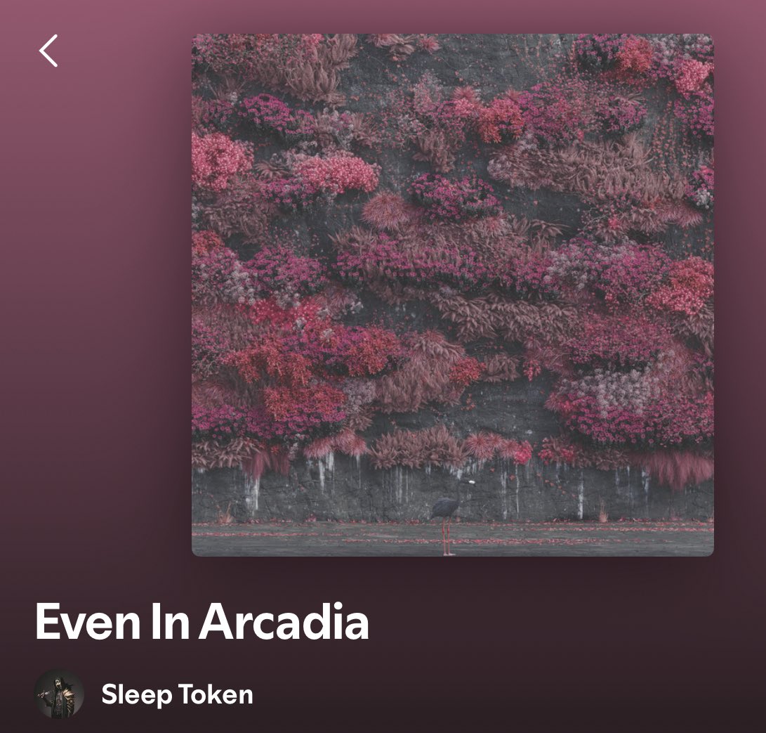 I think I’m a full album > playlist kinda guy

any recs on full albums I need to listen to (whatever kind of music idrc)