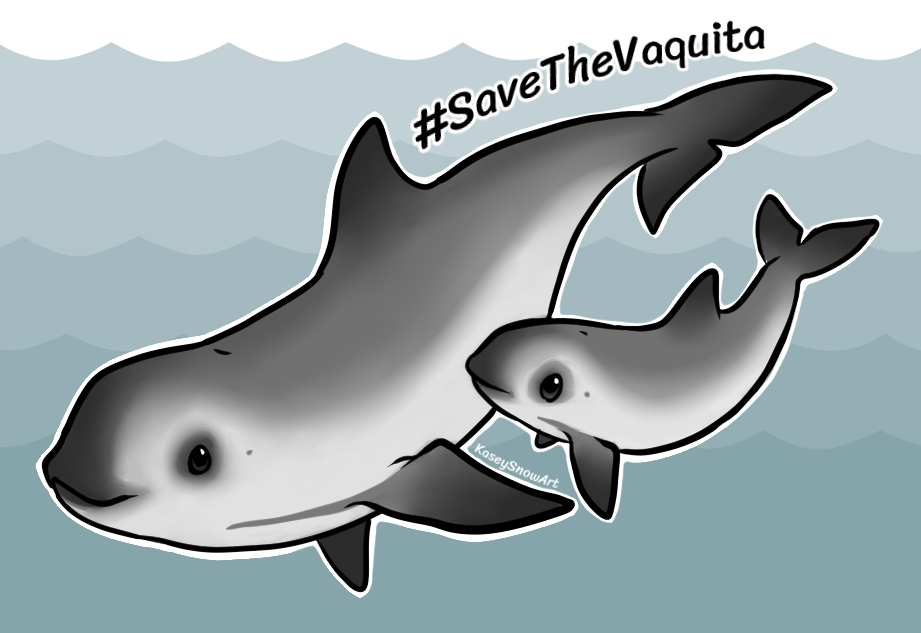 Save the Vaquita Week is Nov 2nd - 8th on #Twitch!

With fewer than 20 left, the vaquita needs our help! If you're a streamer who wants to spread awareness or raise money for this critter, sign up here: savethevaquitas.carrd.co

Shares appreciated!

#SaveTheVaquita #vaquita