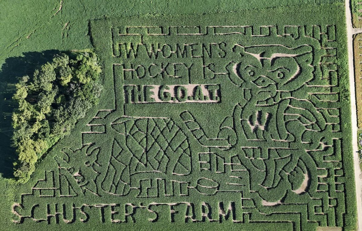 Schuster's Farm picked a great theme for their corn maze this year. 

<a href="/BadgerWHockey/">Wisconsin Hockey</a> #Badgers