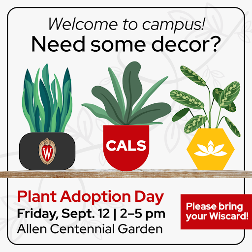 Looking for a way to brighten up your room? Whether you're a freshman or an upperclassman, come to Plant Adoption Day to get yourself your own plant!