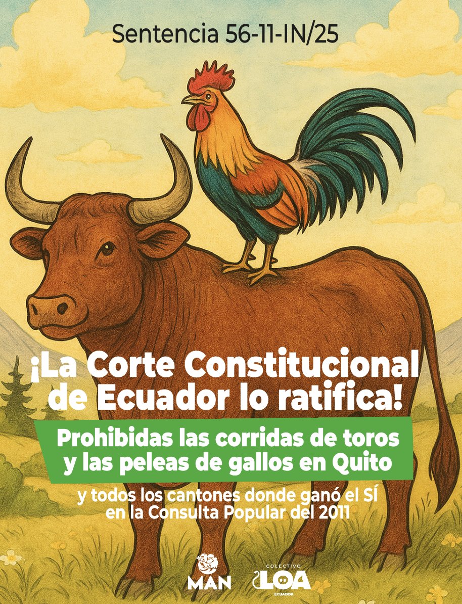 La <a href="/CorteConstEcu/">Corte Constitucional</a> lo ratifica!
Prohibidas las corridas de toros y peleas de gallos en todos los cantones dónde ganó el Sí en la Consulta Popular del 2011.
Vivan los gallos sin peleas y vivan los toros sin corridas!!!
Vivan los animales en paz y libertad!

bit.ly/3IegOCB