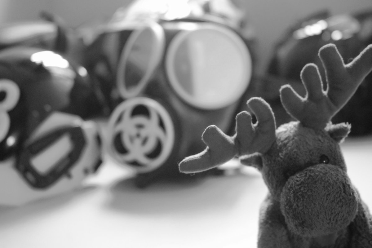 Of course what's a vacation without ones pocket travel buddy?